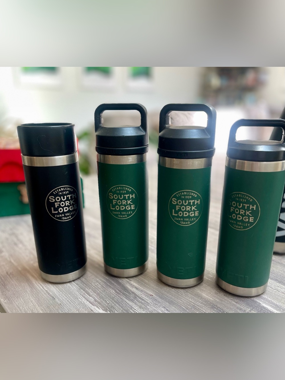 Stainless Steel and Glass Insulated Travel Bottles with Handles